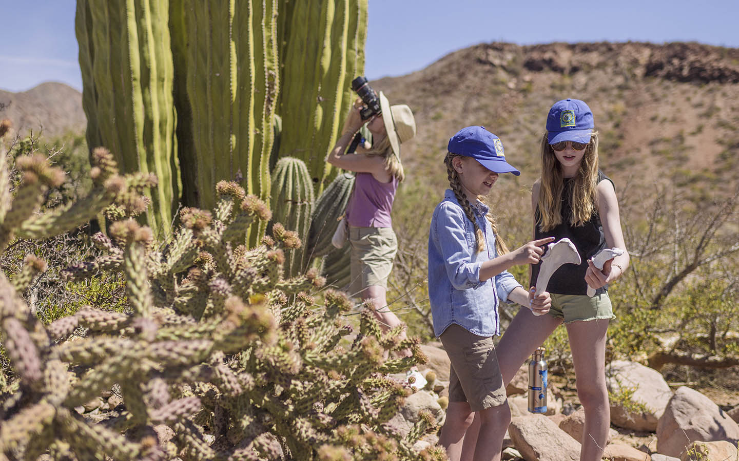 Discover the Best Family Adventure Experiences